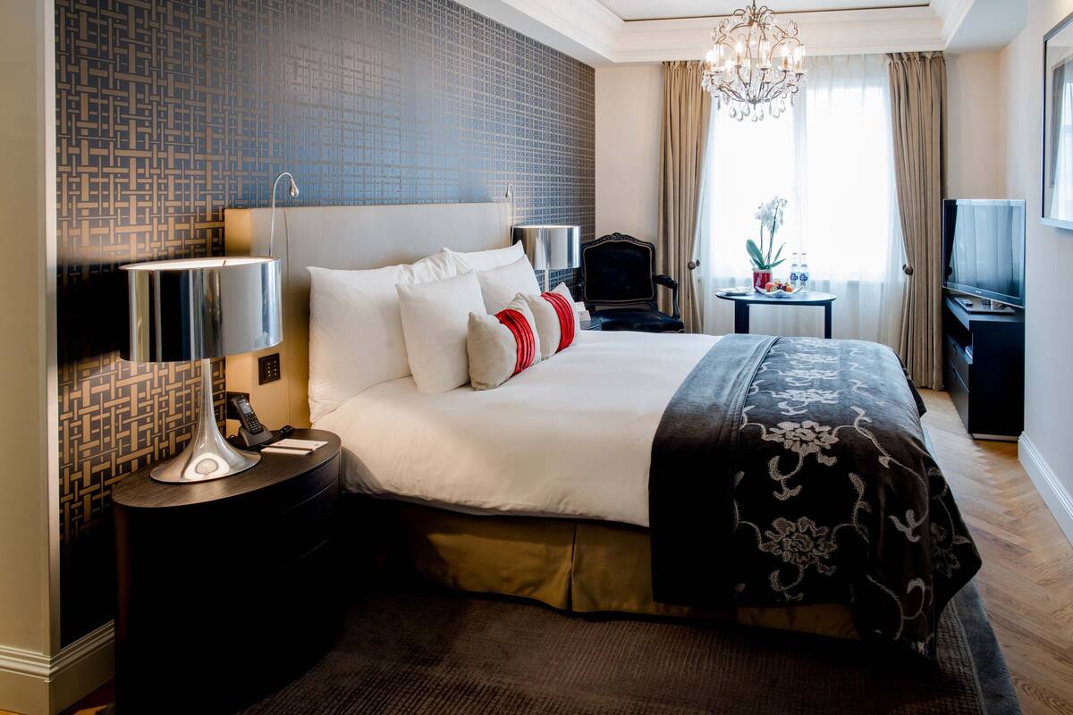 A hotel room with a large bed, a bedside table with a lamp, a TV, a small table with a plant, and a patterned wall.