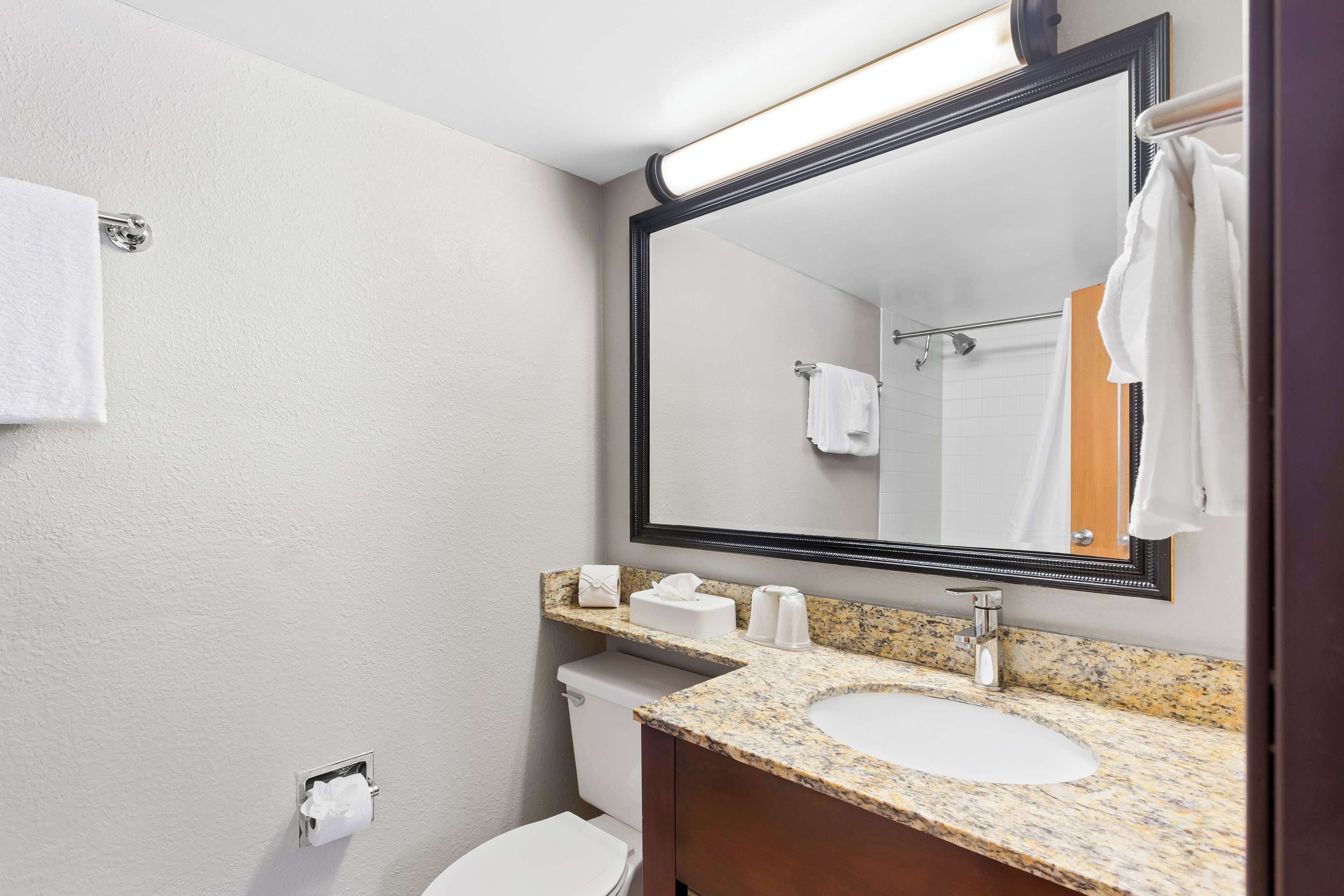 combined shower/bathtub, free toiletries, hair dryer, towels