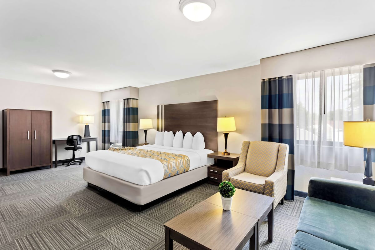 Une chambre d’hôtel avec un grand lit, deux tables de chevet avec des lampes, un bureau avec une chaise, un canapé et une petite table avec une plante.