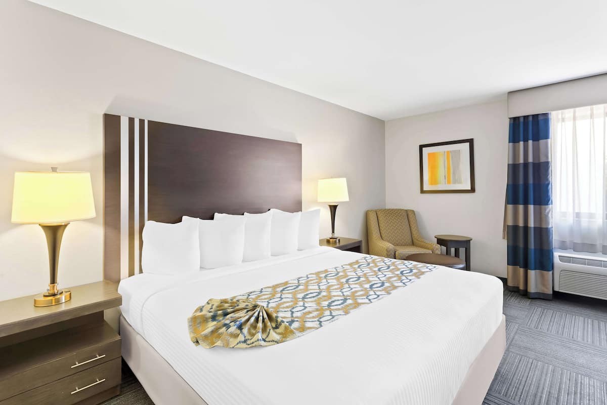 Une chambre d’hôtel avec un grand lit, deux tables de chevet avec des lampes, une chaise, un tableau encadré au mur et une fenêtre avec des rideaux.