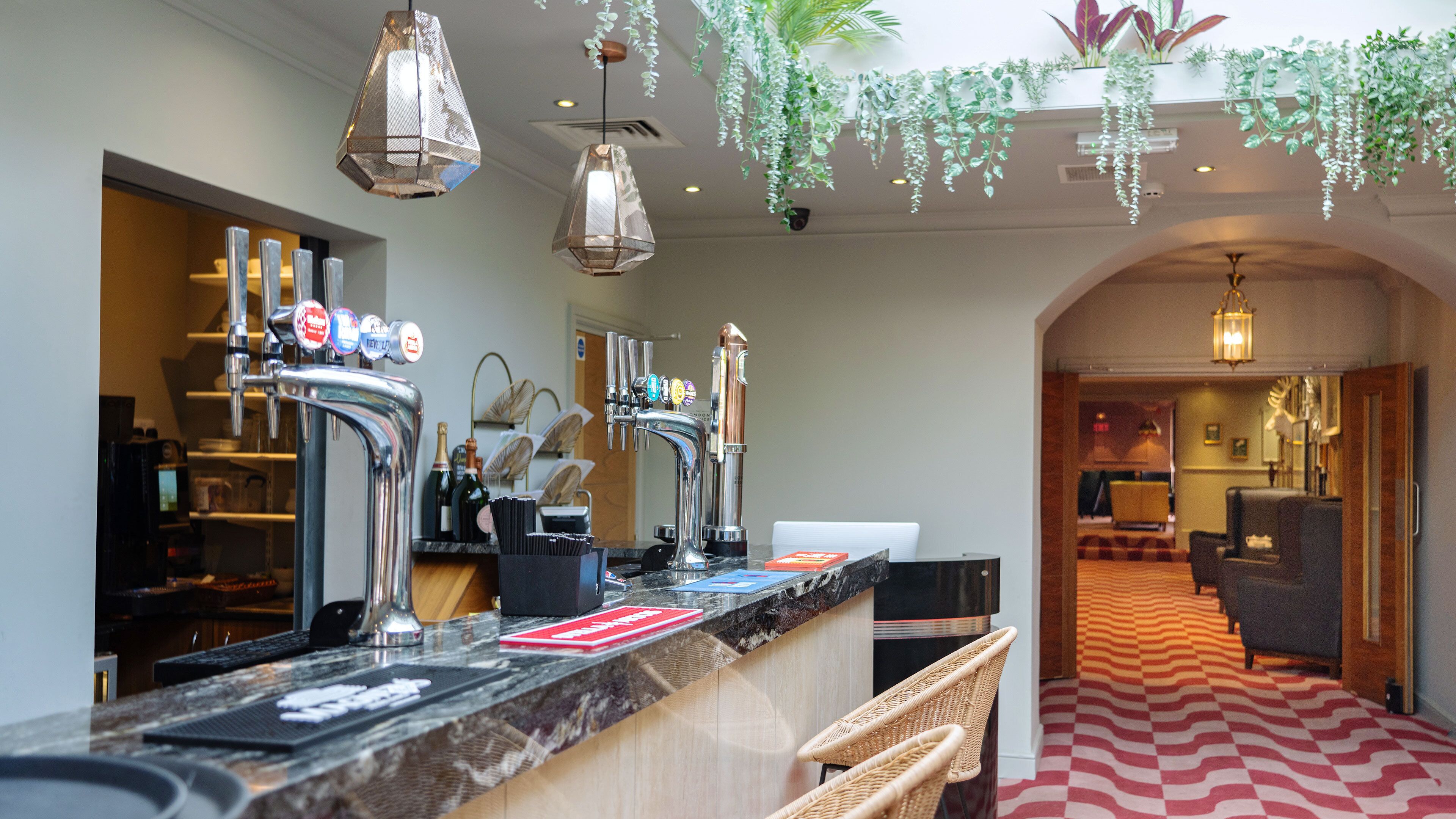 A bar area with multiple taps, a counter, and hanging plants.