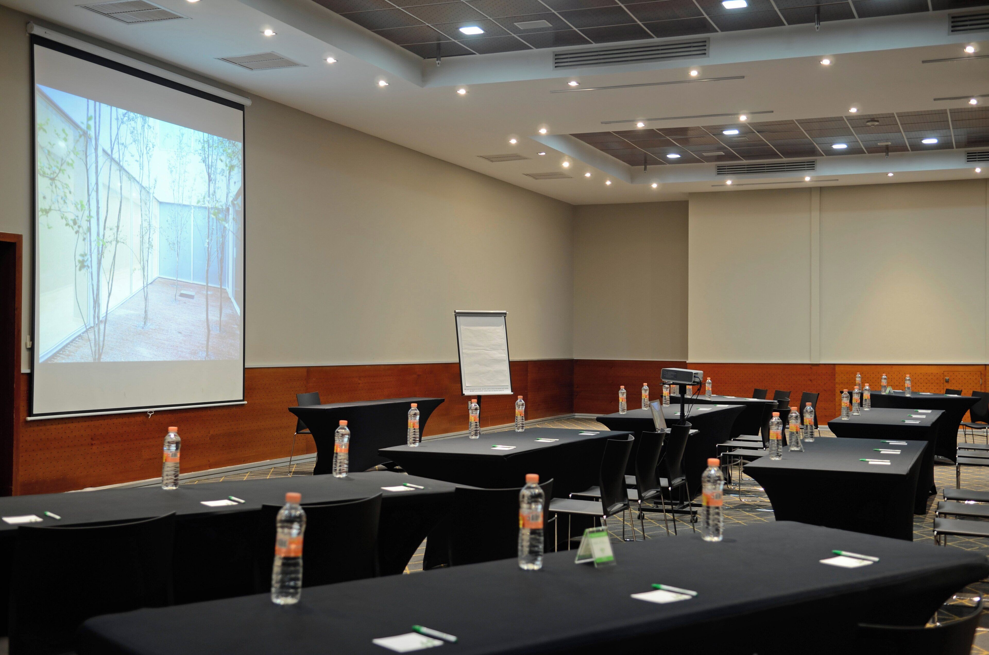 Photo - Holiday Inn San Luis Potosi Quijote By Ihg