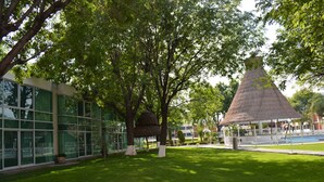 A building with large glass windows, a grassy lawn, and a thatched-roof structure. - Holiday Inn San Luis Potosi Quijote by IHG (San Luis Potosi)