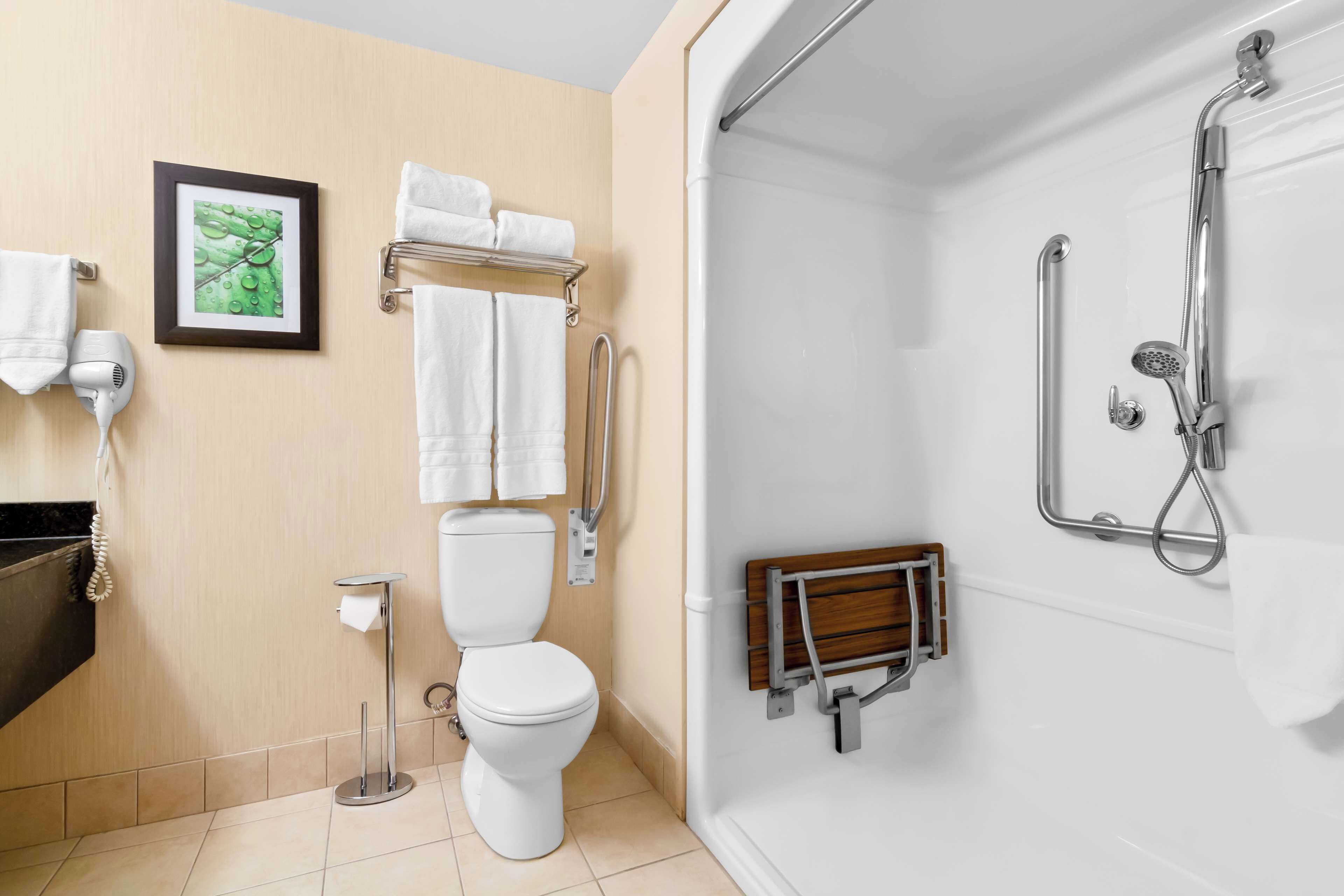 A modern bathroom with a toilet, a shower with a grab bar, and a framed picture on the wall.