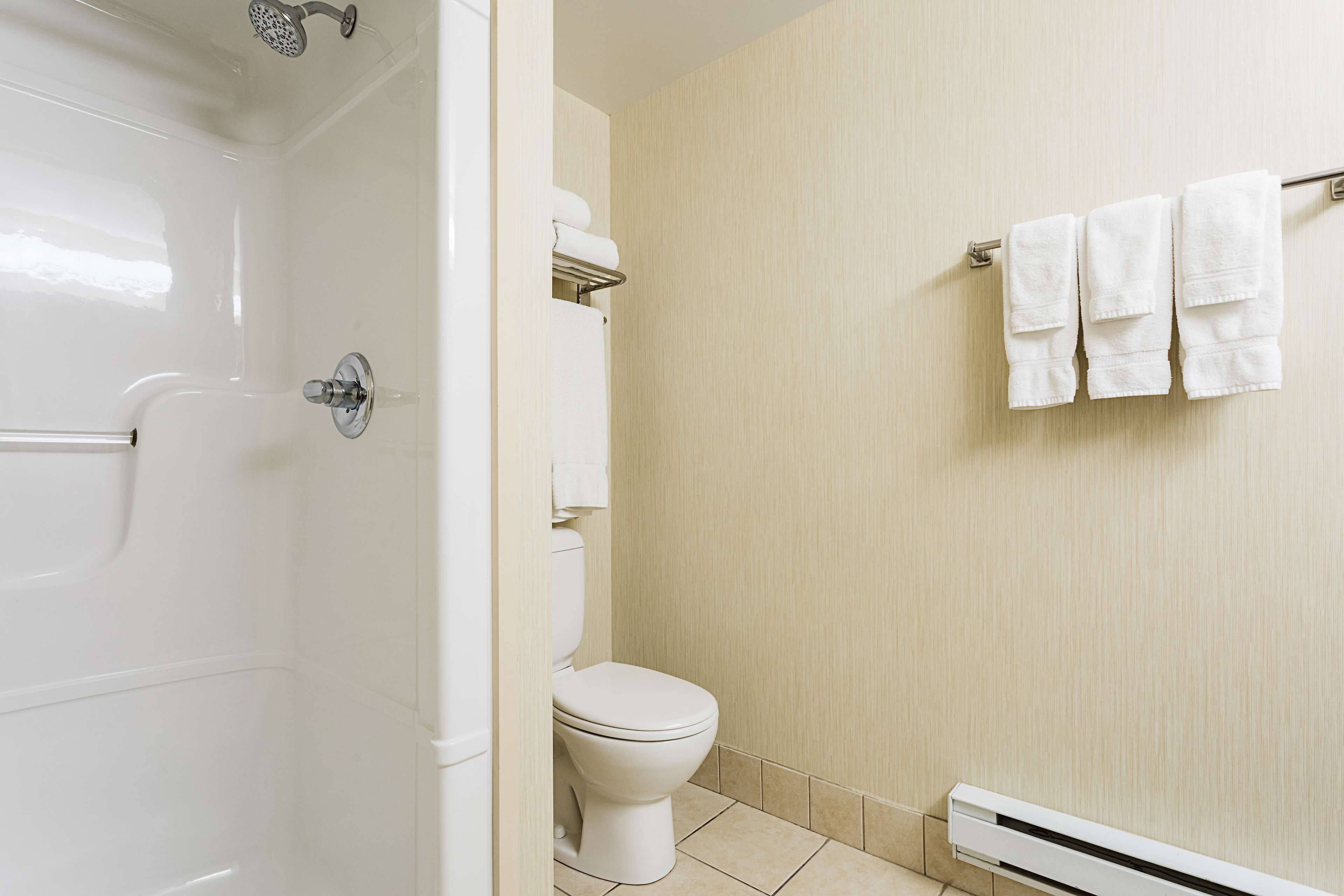 Une salle de bain avec des toilettes blanches, une douche et un porte-serviettes avec trois serviettes.