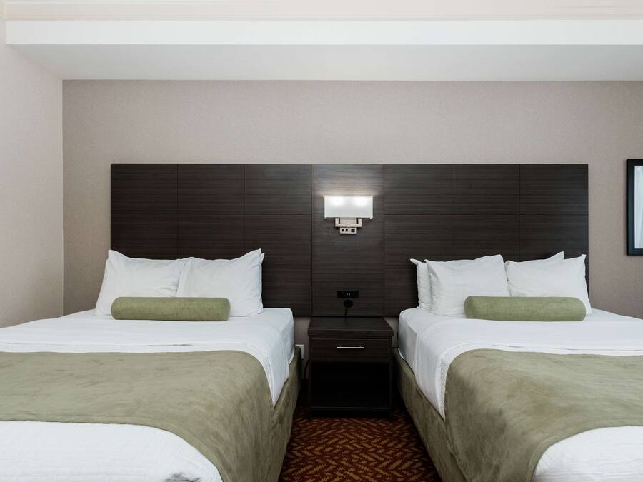 Habitación de hotel con dos camas, cabecera oscura, mesita de noche con lámpara y un cuadro en la pared.