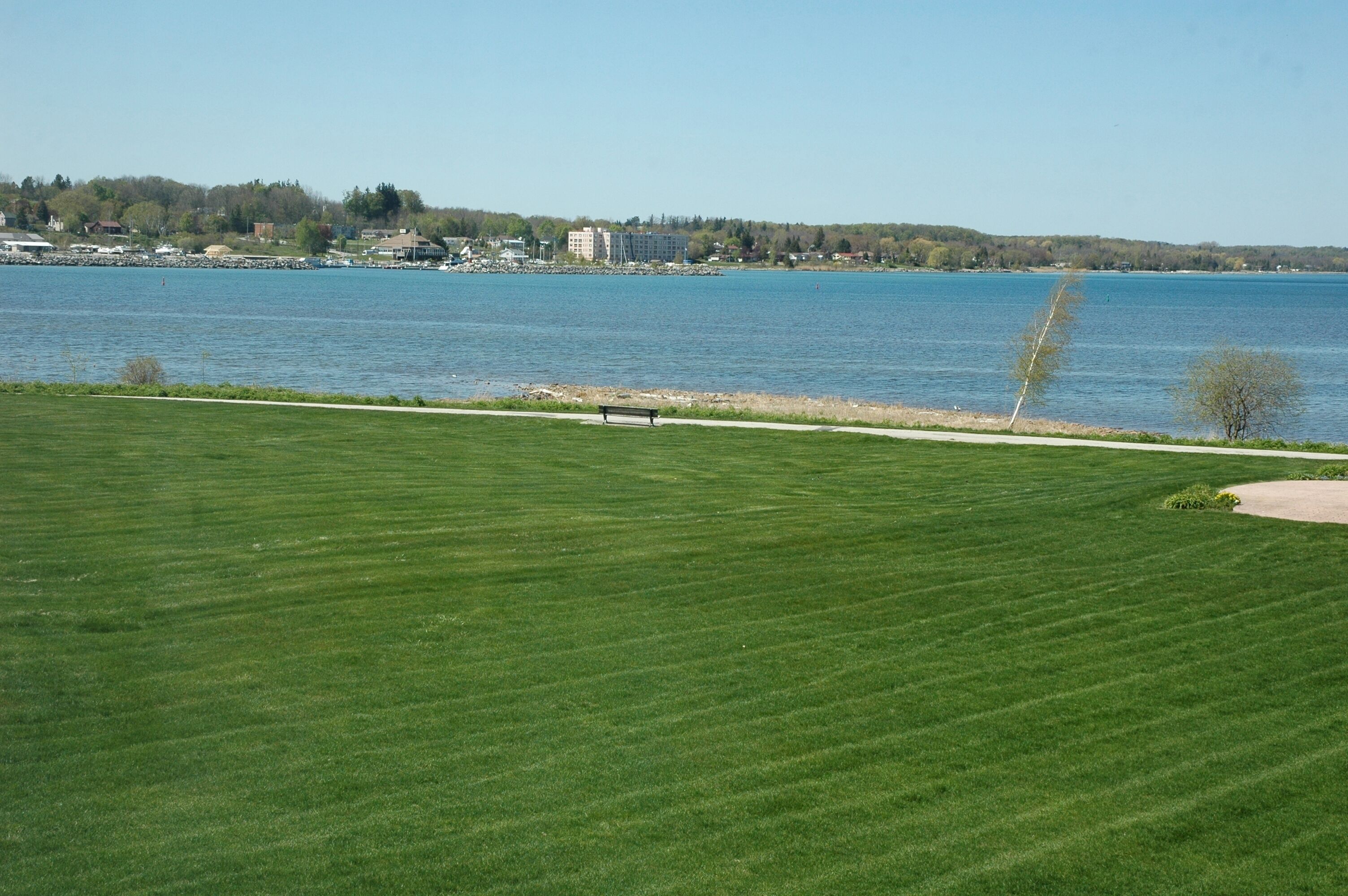 A grassy area with a bench and a path leading to a body of water.
