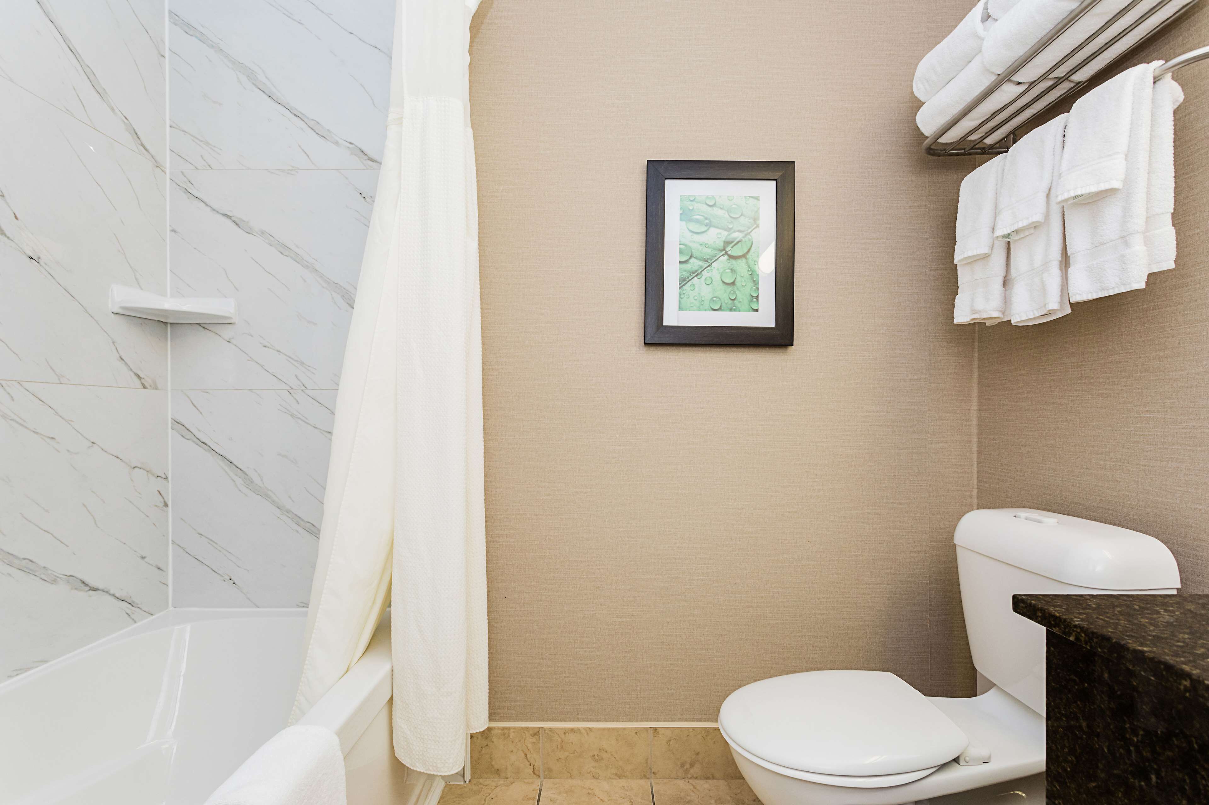 A bathroom with a bathtub, toilet, and a framed picture on the wall.
