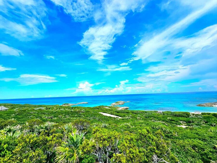 Un paysage tropical avec un ciel dégagé, une végétation luxuriante et une vue sur l’océan.