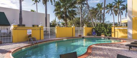 A swimming pool with a tiled edge, surrounded by palm trees and a yellow wall.
