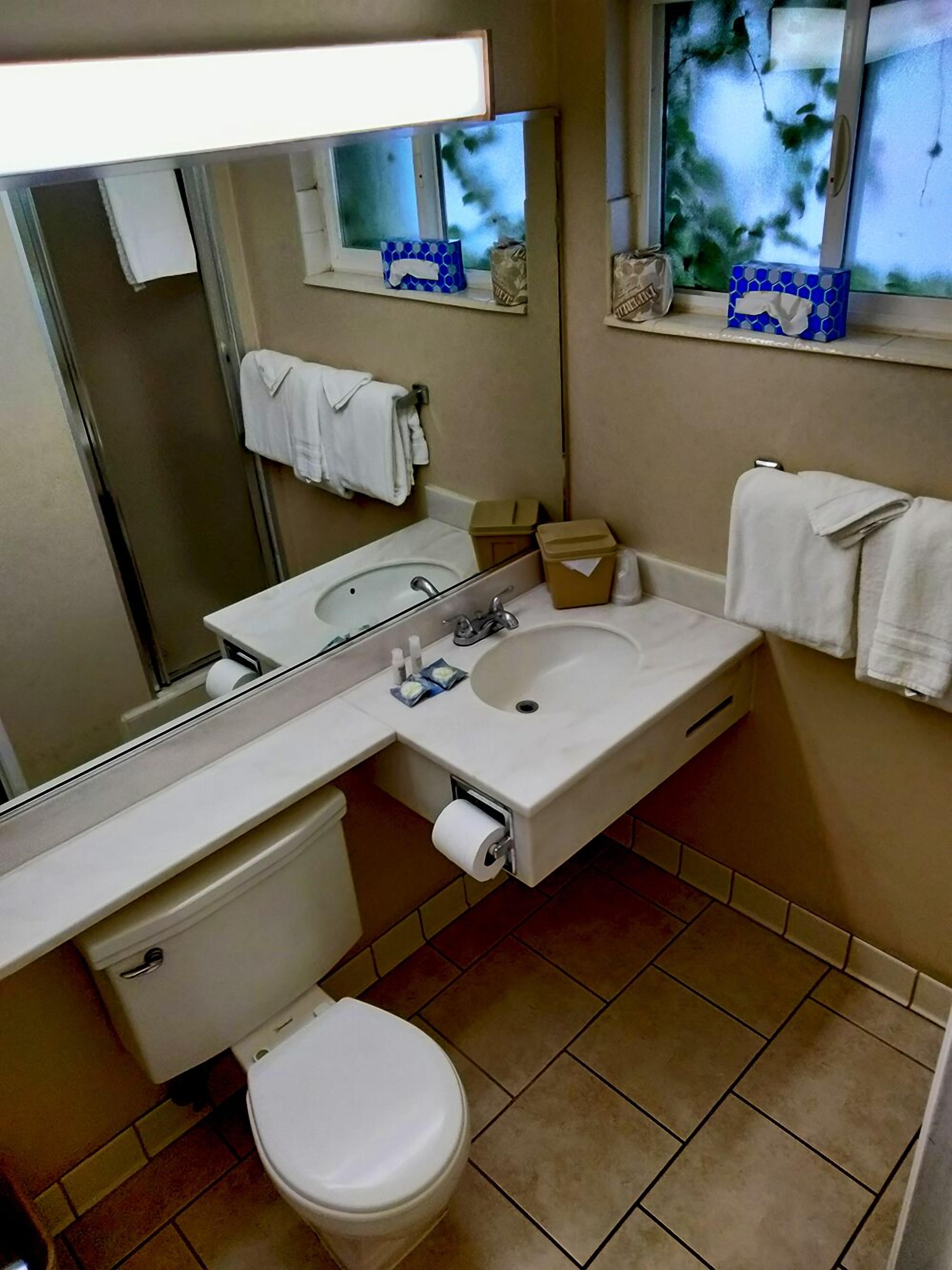 A bathroom with a toilet, sink, and mirror. There are towels hanging on the wall and a window with a view.