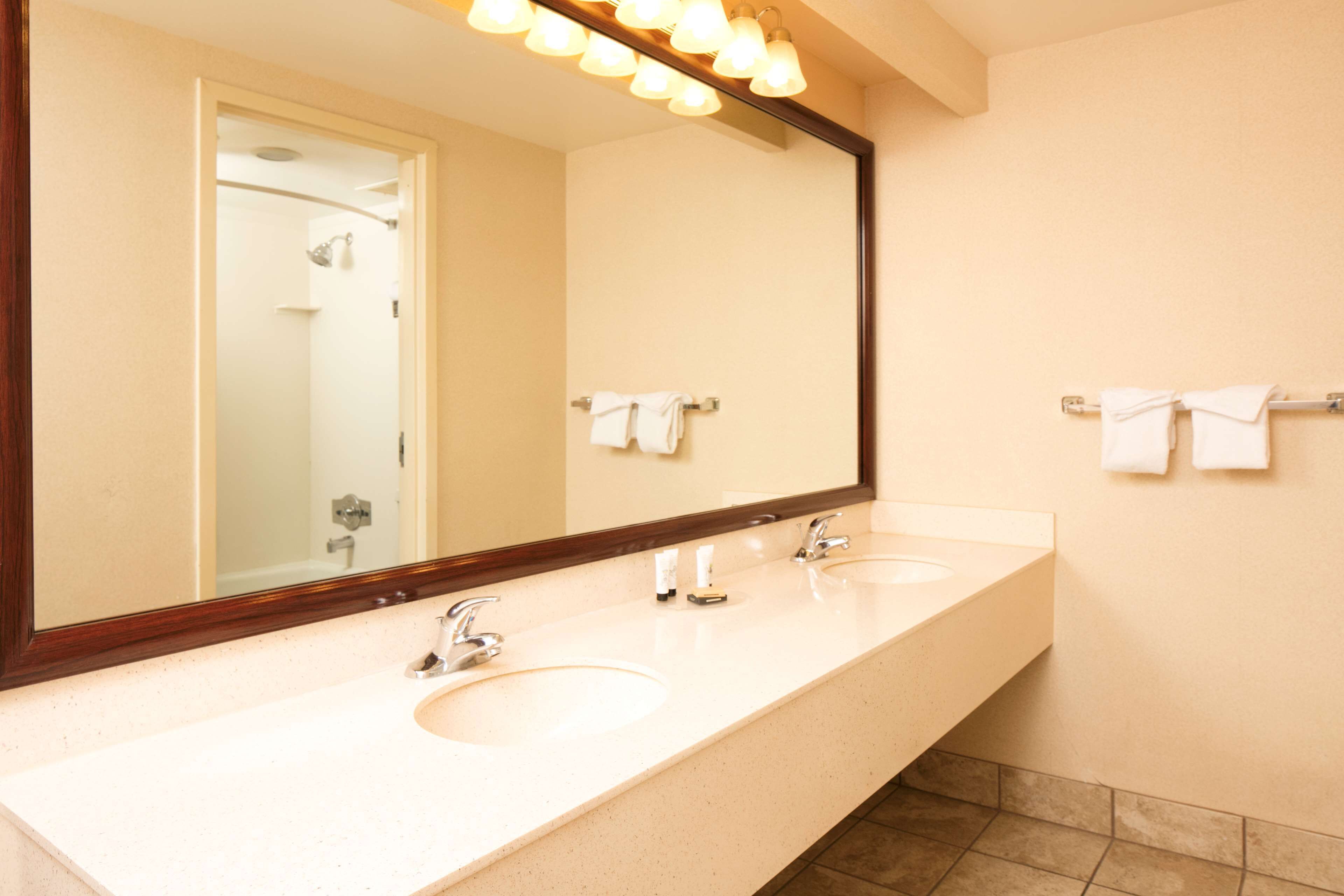 Un baño de hotel con dos lavamanos, un espejo grande y un perchero para toallas.