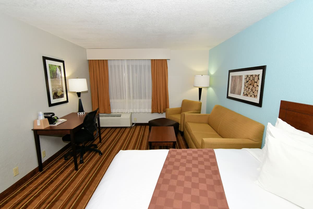 Executive Room, 1 Bedroom, Non Smoking, Refrigerator & Microwave | 1 bedroom, in-room safe, blackout curtains, iron/ironing board