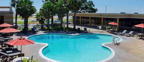 A pool area with lounge chairs and umbrellas, surrounded by palm trees and a building with large windows.