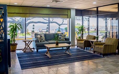 A modern lobby with a sofa, armchairs, a coffee table, and potted plants.