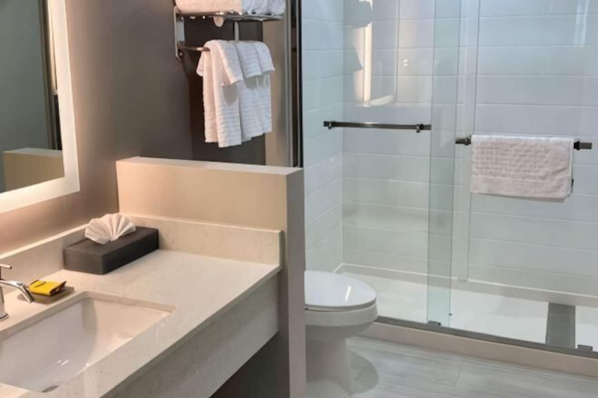 Bathroom | Combined shower/tub, free toiletries, hair dryer, towels