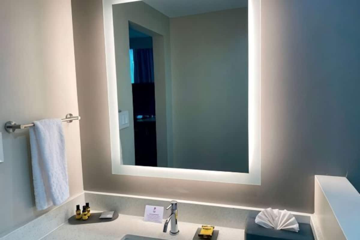 Bathroom | Combined shower/tub, free toiletries, hair dryer, towels