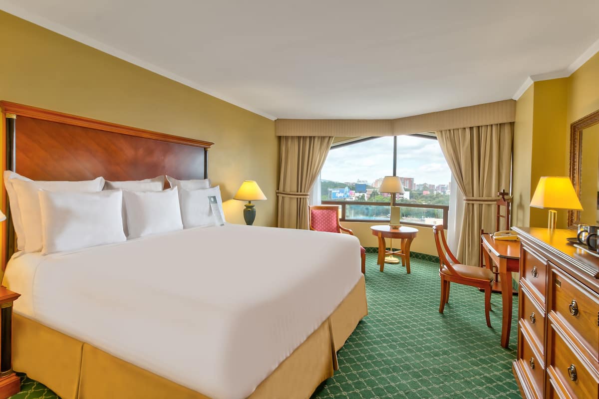 executive room (superior) | view from room