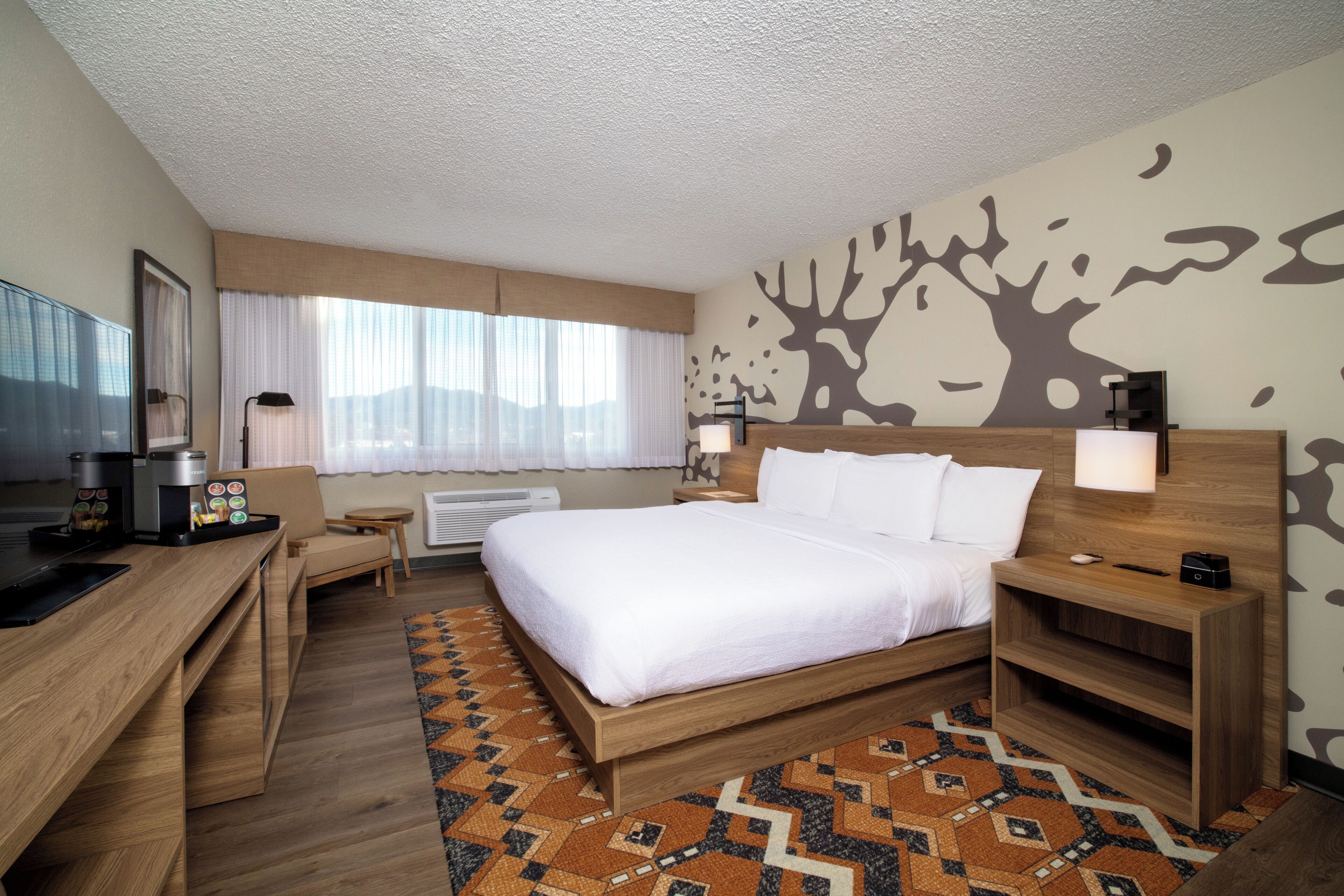 Room, 1 King Bed, Roll-in Shower, Mountain View (Mobility Accessible)