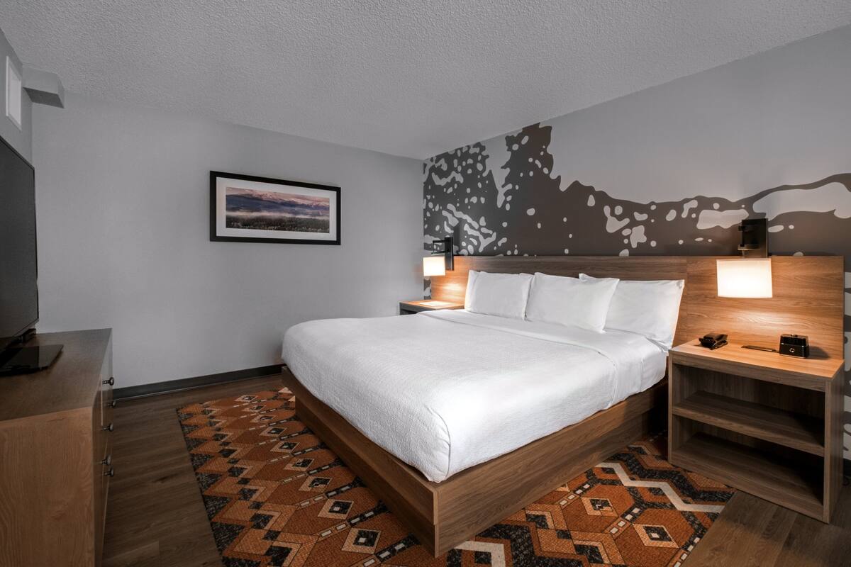 Una habitación de hotel moderna con una cama de madera, un tapete estampado, un cuadro enmarcado en la pared y una mesita de noche con lámpara.
