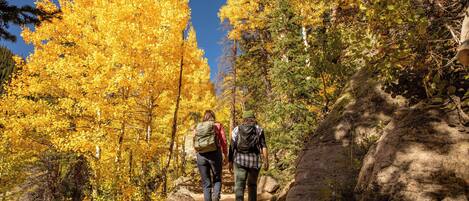 Sendero para excursionismo con follaje otoñal y terreno rocoso.