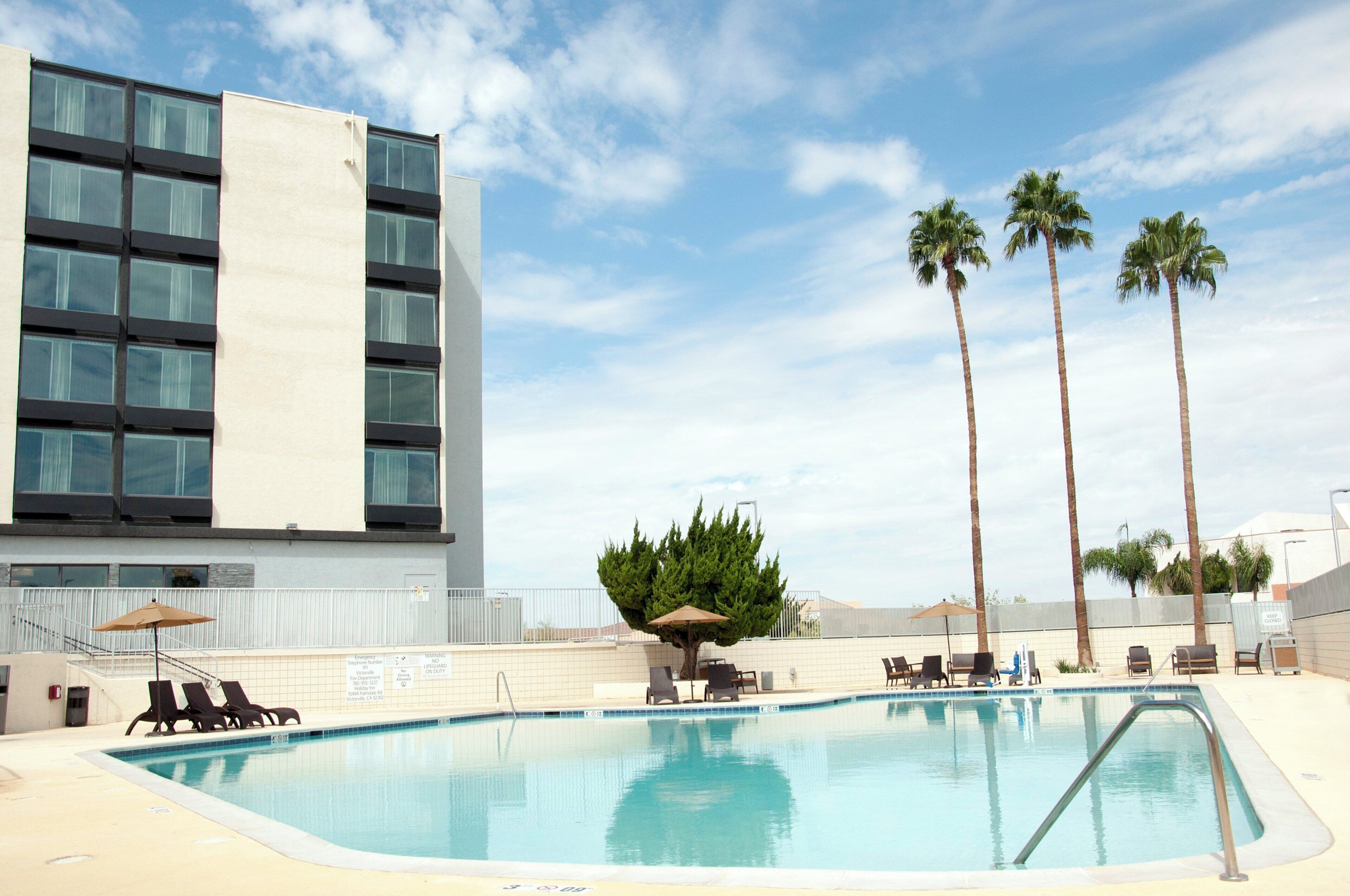 A swimming pool with lounge chairs and a palm tree, adjacent to a modern building with large windows.