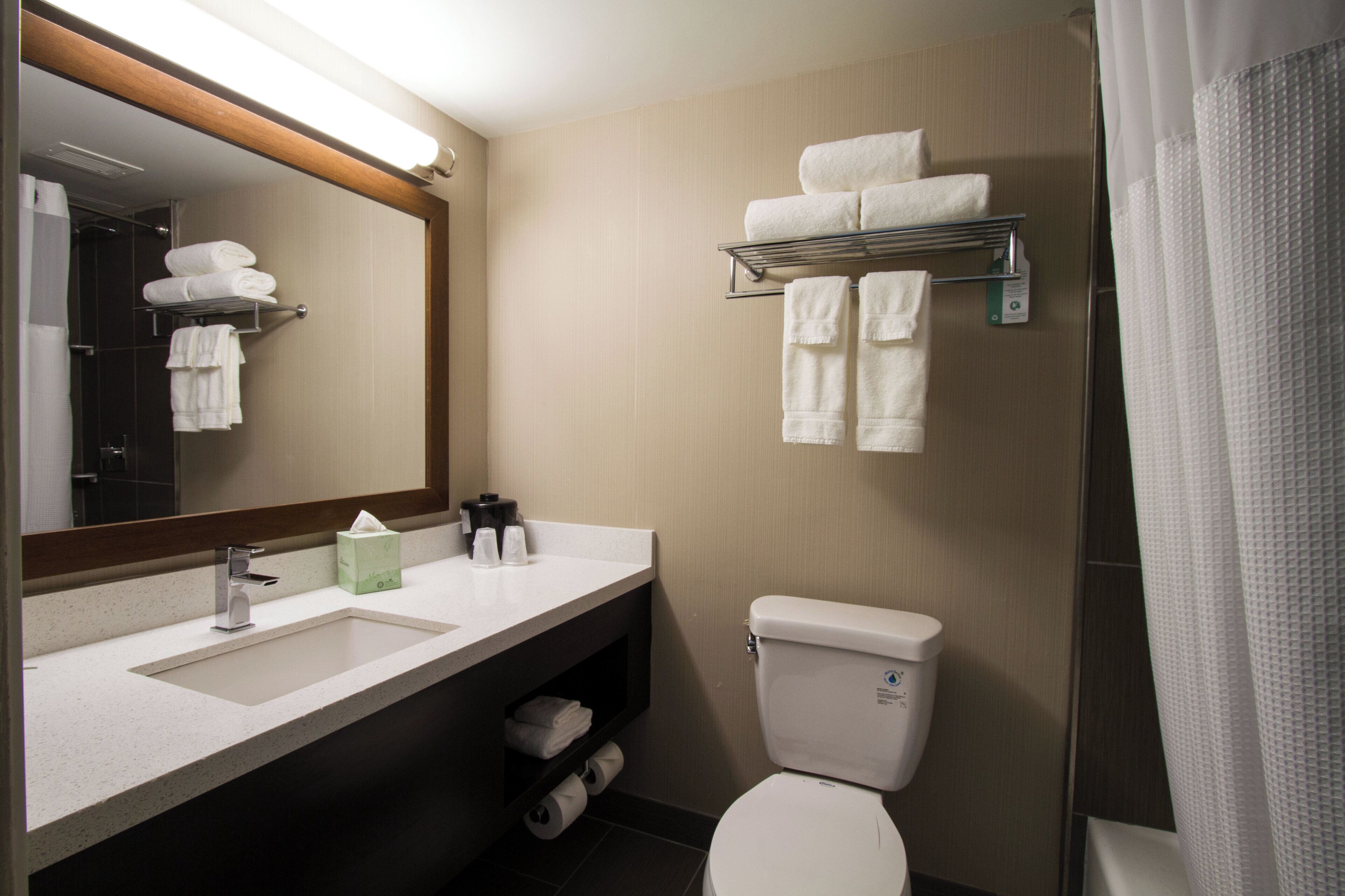 A hotel bathroom with a sink, mirror, toilet, and towel rack.