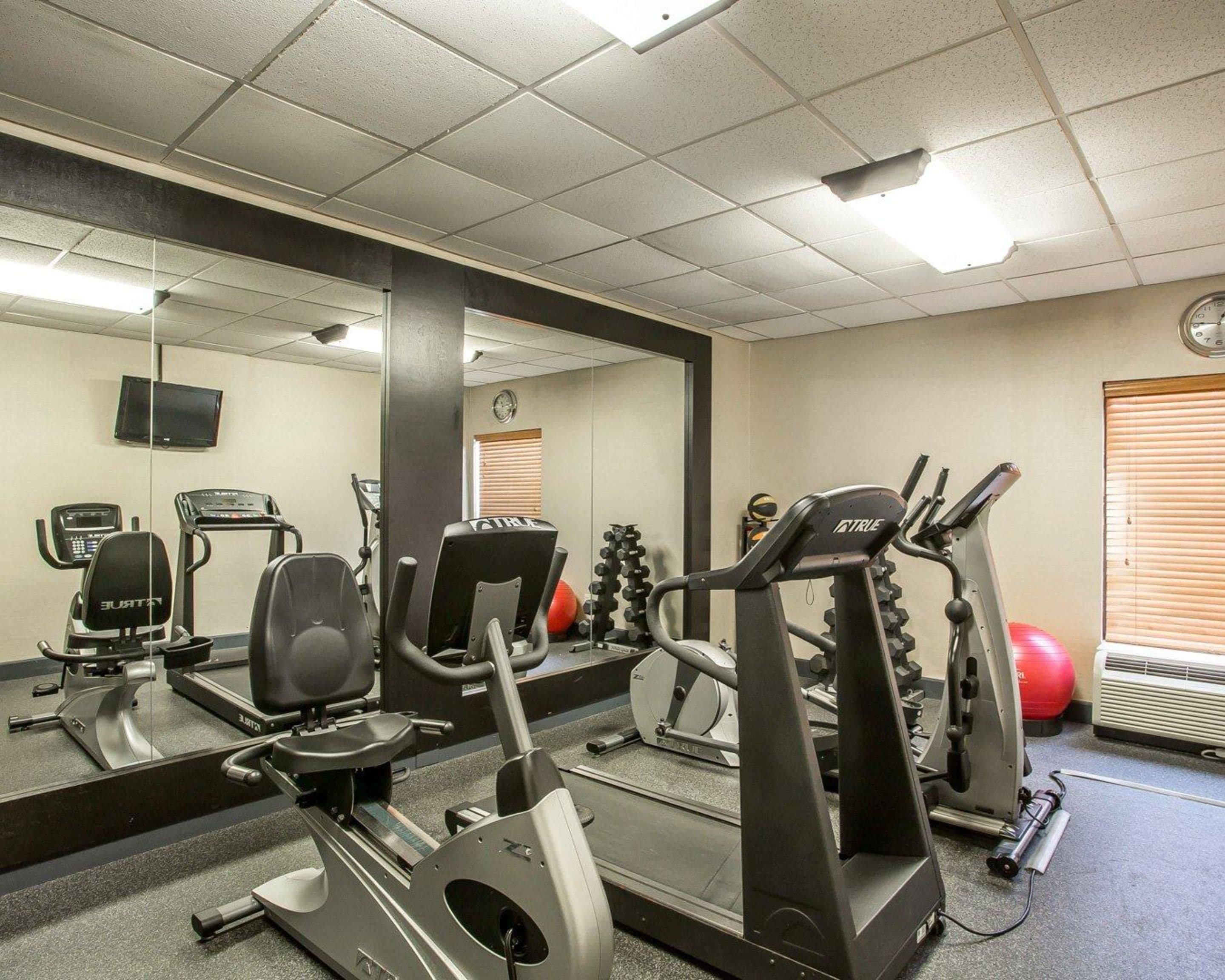 Un gimnasio con cintas de correr, elípticas y pesas sueltas.
