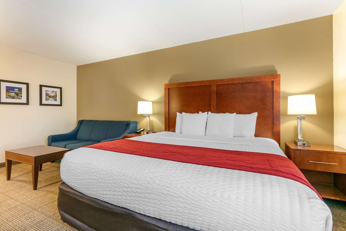 Standard Room, 1 King Bed with Sofa bed, Non Smoking