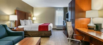 Comfort Inn Downtown