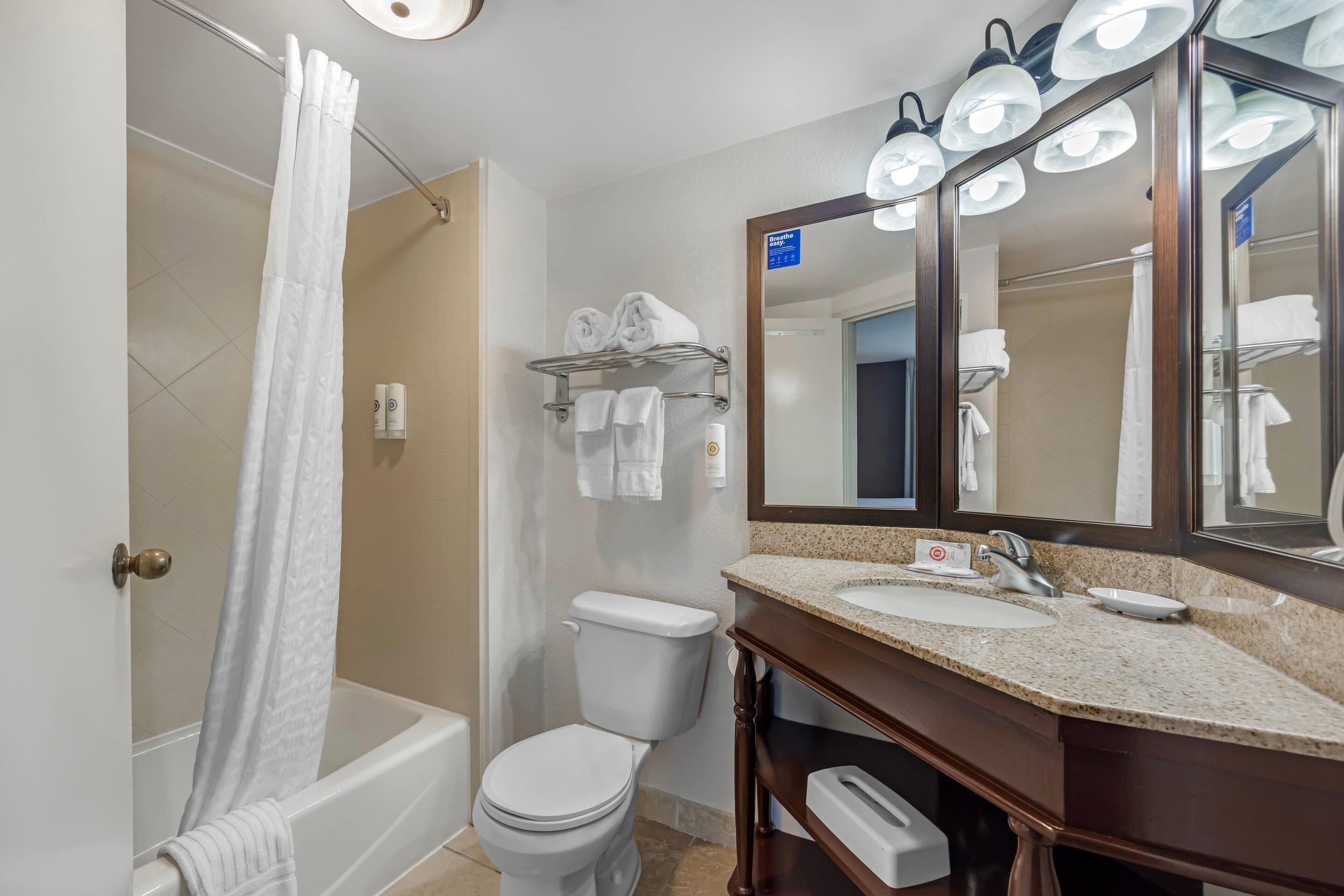 Une salle de bain équipée d’une douche, de toilettes, d’un lavabo et d’un grand miroir avec éclairage.