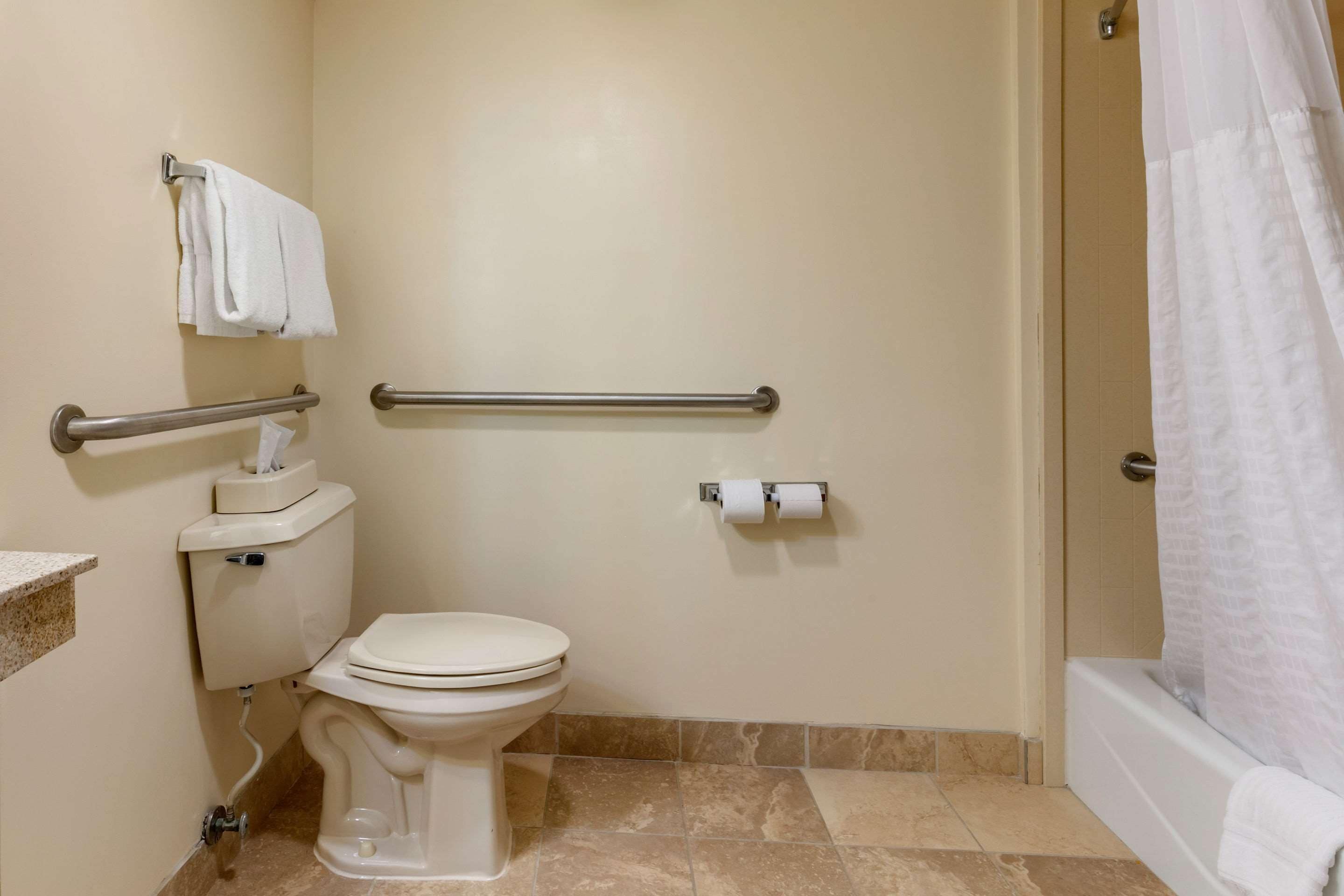 A bathroom with a toilet, a handrail, a towel rack, and a shower curtain.