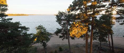 A lakeside view with trees and a road.