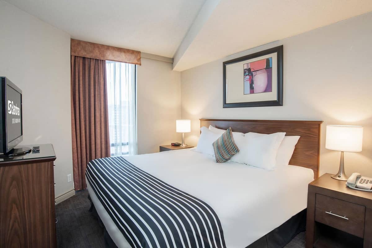 Habitación de hotel con una cama grande, un televisor sobre un mueble de madera, una mesita de noche con una lámpara, un teléfono y un cuadro en la pared.