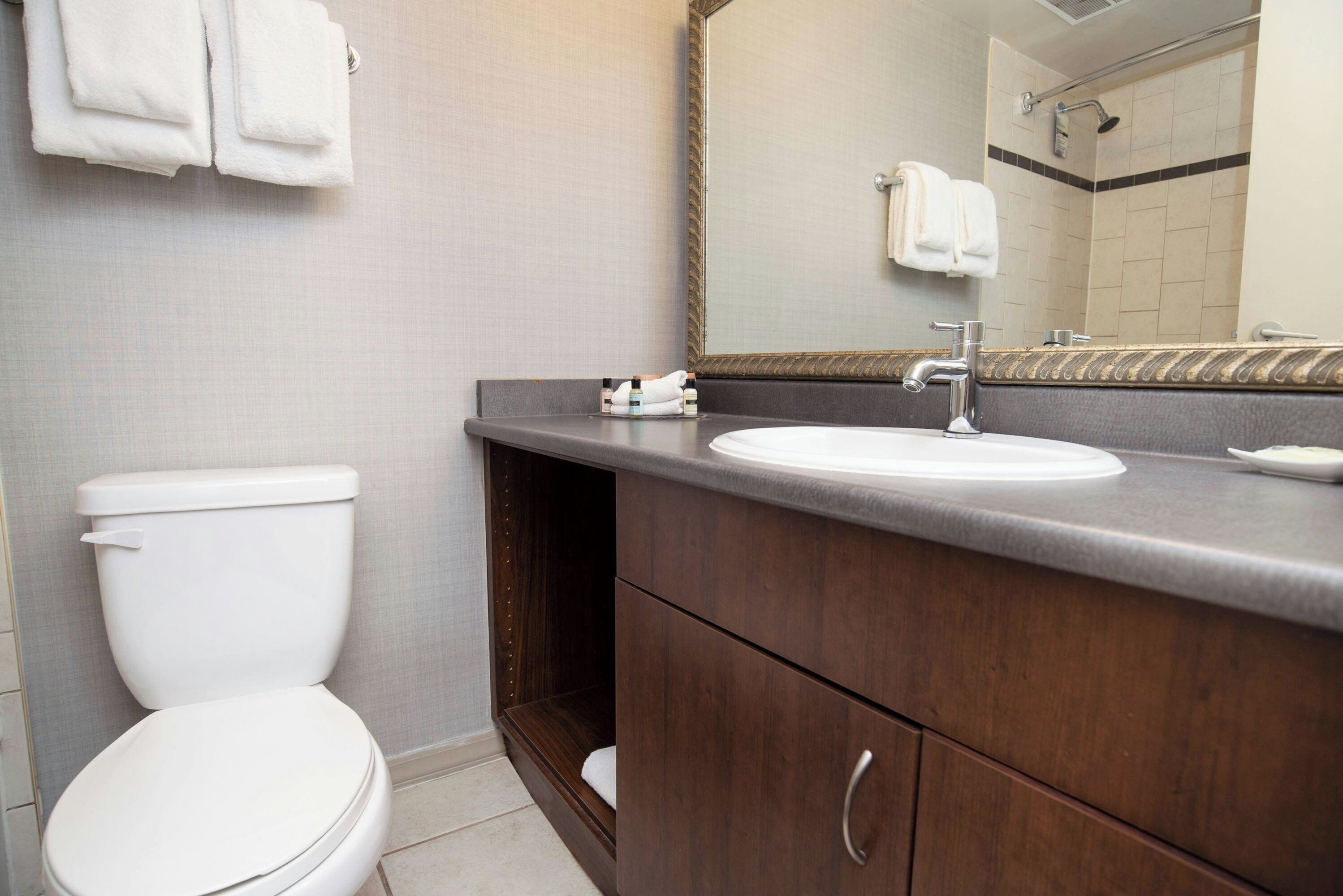 Une salle de bain avec des toilettes, un lavabo et un miroir.
