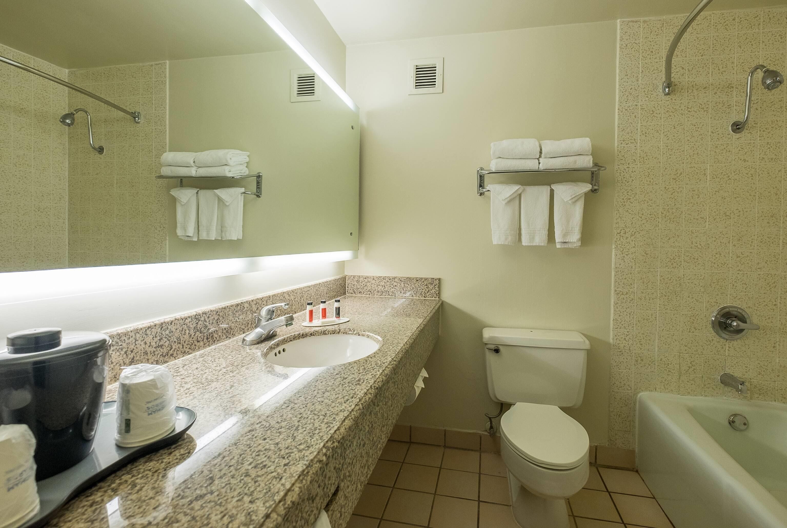 A bathroom with a sink, toilet, bathtub, and a mirror.