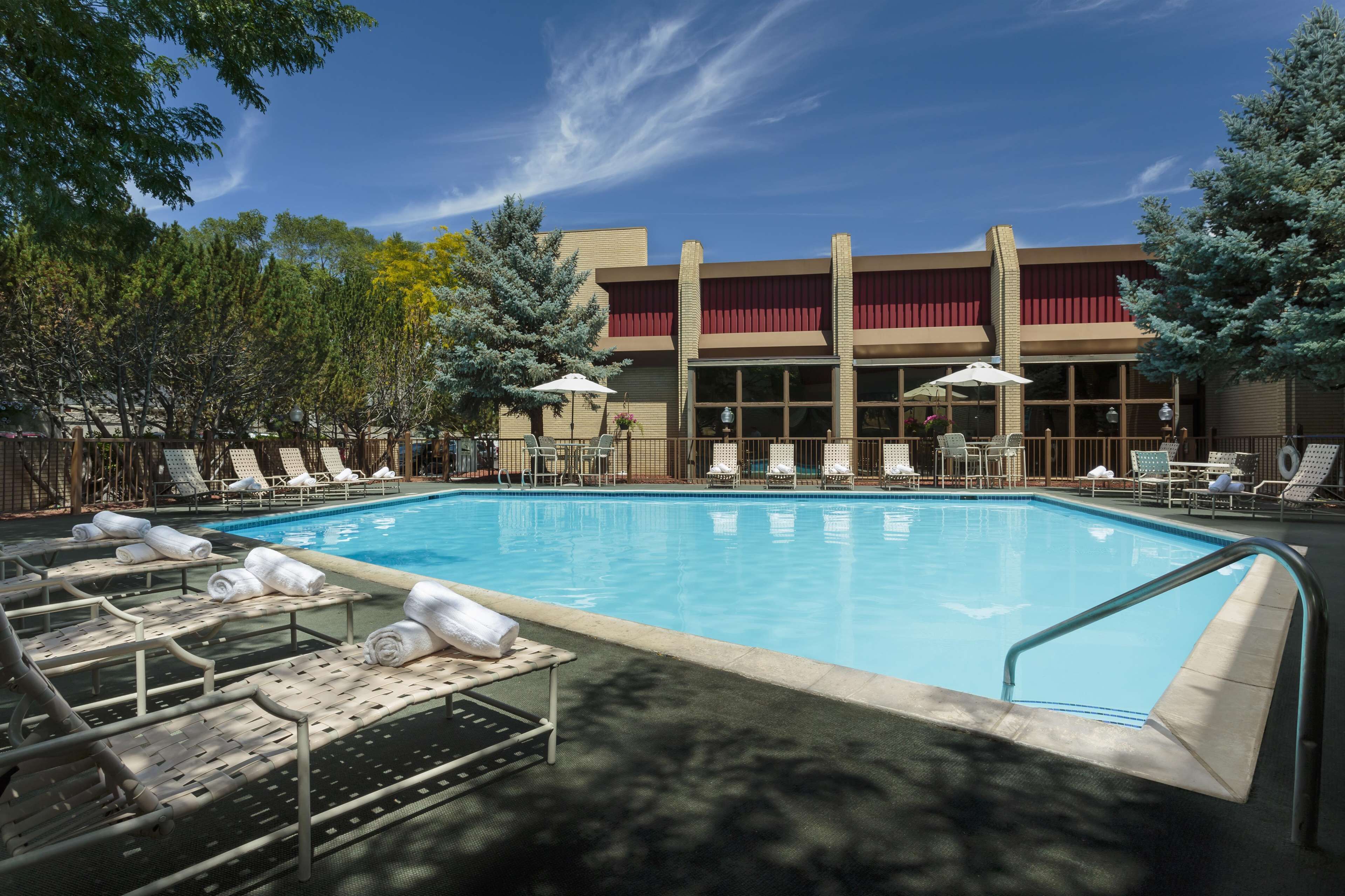 Seasonal outdoor pool, pool umbrellas, sun loungers