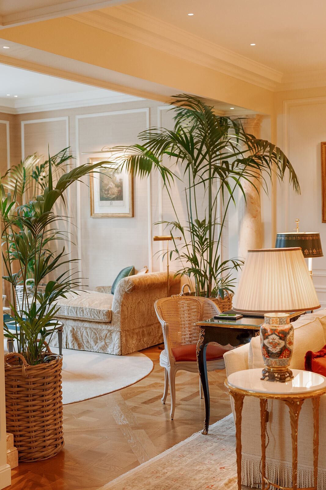 A well-lit living room with a sofa, a wicker side table, a lamp, and several potted plants.