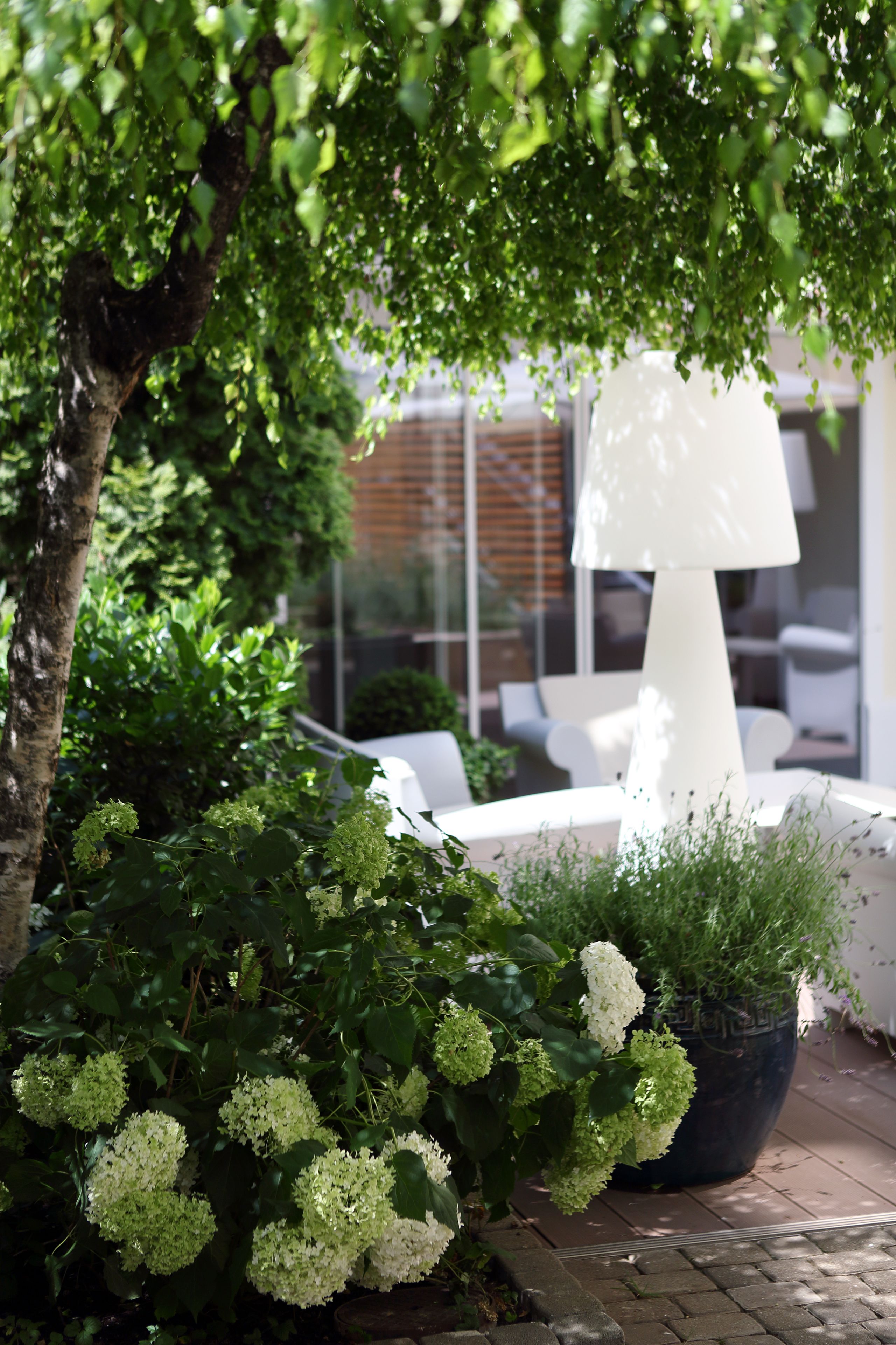 Un jardín con una planta grande en maceta, un árbol y muebles de exterior.