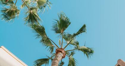 Courtyard by Marriott Los Angeles LAX/Century Boulevard