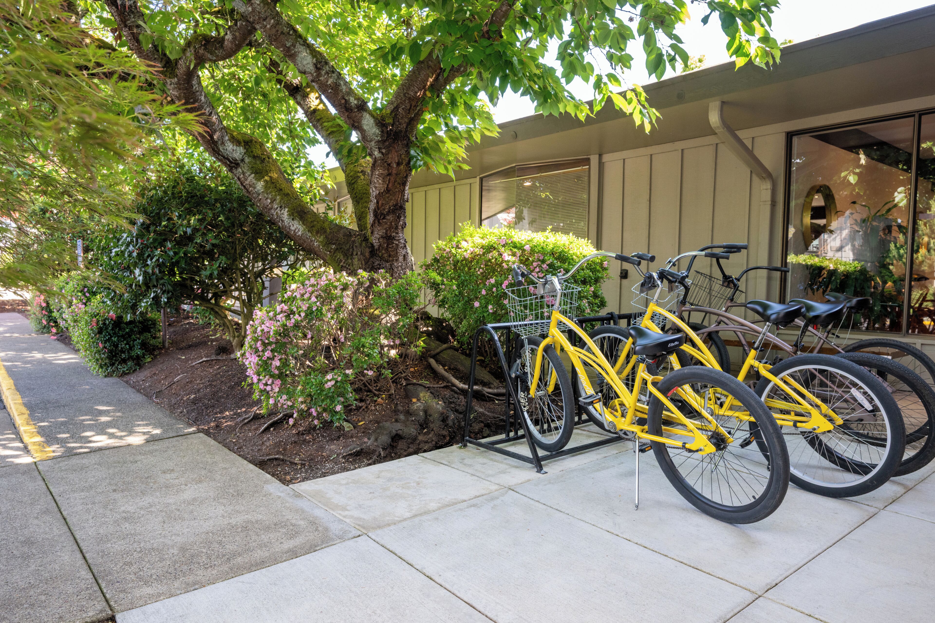 A bicycle rack with multiple bicycles parked in front of a building with large windows.