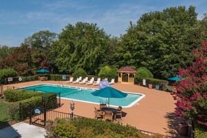 Piscina rectangular con sillas de descanso y sombrillas, rodeada de follaje y un pabellón.