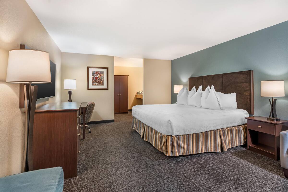 A hotel room with a large bed, a desk, a chair, and a TV.