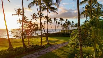A pathway leading to a grassy area with palm trees and a view of the ocean.