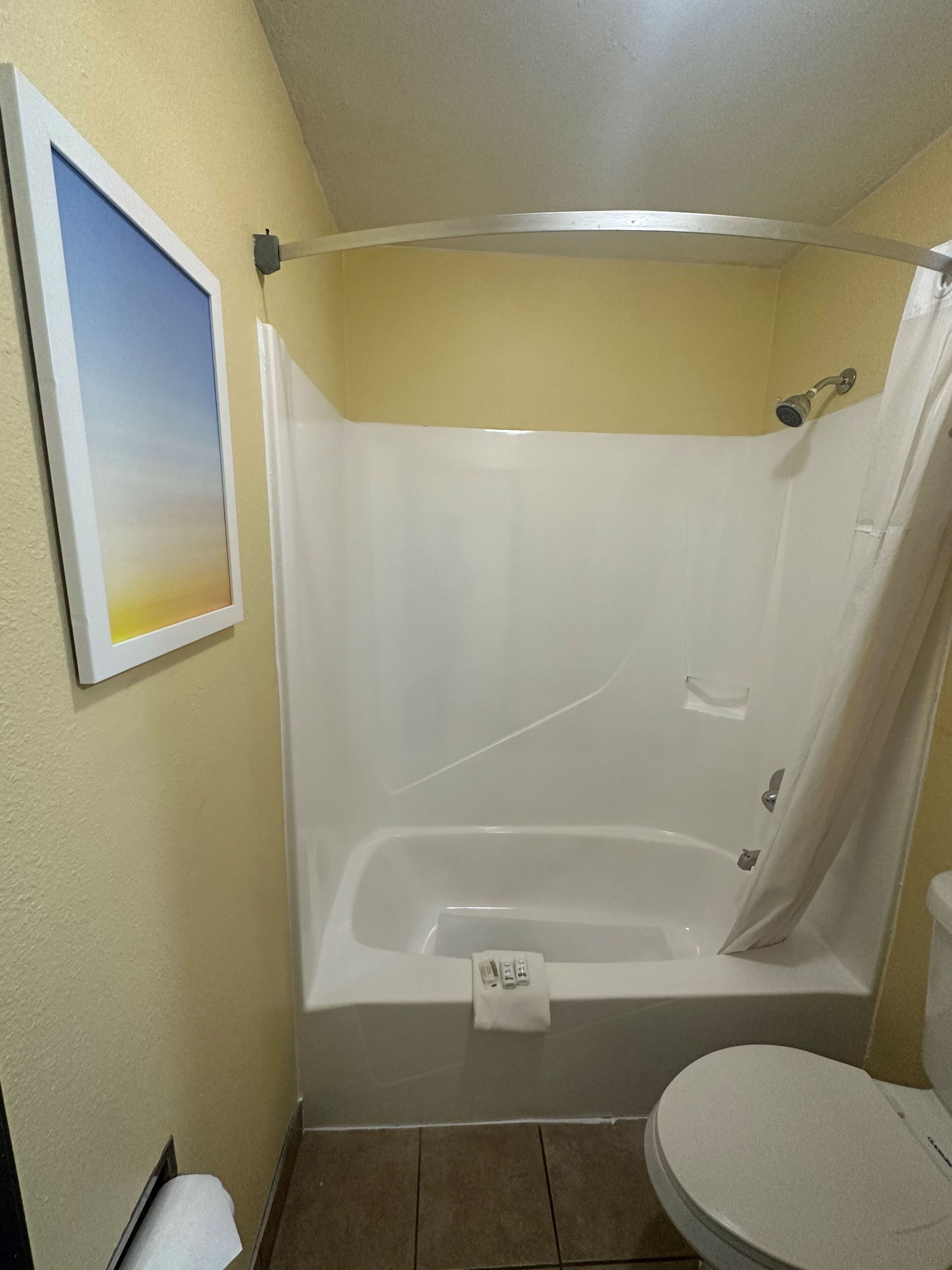 A bathroom with a bathtub, toilet, and a framed picture on the wall.