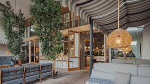 A spacious indoor area with a large seating area, a hanging woven light fixture, and a large tree. - The Scott Resort & Spa  (Scottsdale)