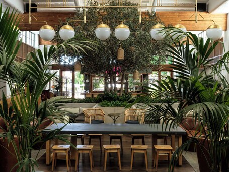 The Scott Resort Spa - Image 14