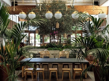 Property amenity at The Scott Resort & Spa 