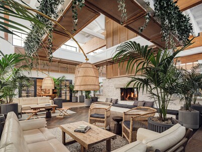 The Scott Resort & Spa 