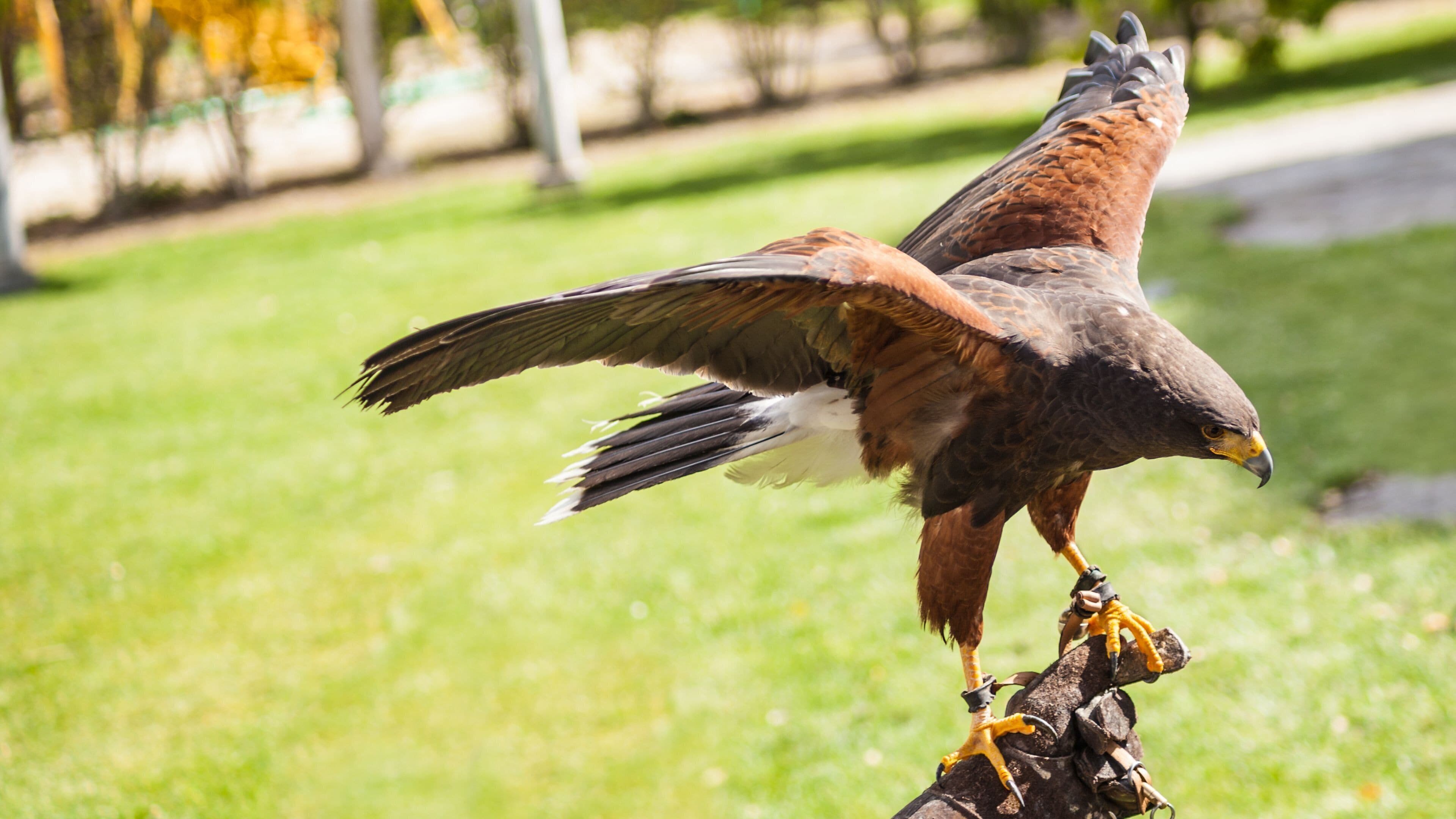 Photo - Holiday Inn Northampton by IHG